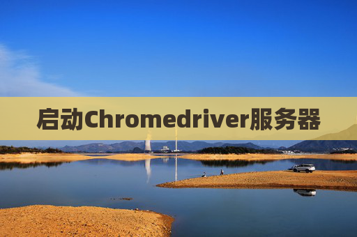启动Chromedriver服务器